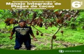 Aprendiendo e innovando sobre el G Manejo Integrado de ... · del Cultivo de Cacao en Sistemas Agroforestales. Con estas guías Lutheran World Relief quiere hacerles llegar ... de
