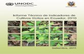 COMBIFRON Comisión Binacional Fronteriza Ecuador-Colombia · Informe Técnico de Indicadores de Cultivos ilícitos en el Ecuador, 2010 1 Acrónimos y abreviaturas. CLIRSEN Centro