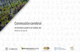 Presentación de PowerPoint - barranquilla2018.combarranquilla2018.com/wp/wp-content/uploads/2018/07/Conmoción... · síntomas hayan desaparecido. • Diagnostico diferencial con