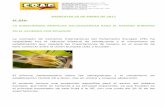 EL DÍA: LA EUROCÁMARA RESPALDA SALVAGUARDAS PARA EL ...coagcanarias.com/wp-content/uploads/2017/01/Noticias-25-01-2017.pdf · El Servicio de Extensión Agraria del Cabildo de Gran