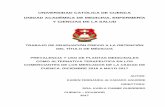 UNIVERSIDAD CATÓLICA DE CUENCA UNIDAD ACADÉMICA …dspace.ucacue.edu.ec/bitstream/reducacue/7499/1/9BT2017-MTI34.pdf · CAUSAS DEL EMPLEO DE LAS PLANTAS MEDICINALES. ... ANEXO NO.