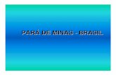 PAR Á DE MINAS - BRASIL - educacionfiscal.orgeducacionfiscal.org/files/documentos/20071013_191017_Apresentacao... · Para la promoción de cambios comportamentales en la ... Parámetros