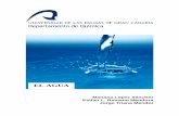 El agua - ACCEDA. Documentación científica de la ULPGC ...acceda.ulpgc.es/bitstream/10553/253/1/495.pdf · Ciclo del agua. 14 Aguas ... la casi totalidad de los procesos que ocurren
