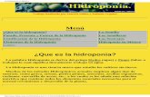 La Hidroponia en México - virtual.chapingo.mxvirtual.chapingo.mx/dona/paginaIntAgronomia/hidroponia3.pdf · Trabajo Realizado por Patricia Núñez y Stefanie Urquiza. €€ €