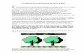 TECNICAS DE APLICACIN DE PESTICIDAS - aerocampo.comaerocampo.com/pdf/tecnicas-de-aplicacion-de-pesticidas.pdf · TECNICAS DE APLICACIÓN DE PESTICIDAS. C on la introducción de la
