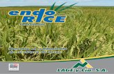 ENDORICE PDF EN CURVAS - Lage y Cía · en o Inoculante El inoculante ENDO-RICE es el primer promotor de crecimiento biológico para el cultivo de arroz. Fue desarrollado por Lage