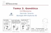 Tema 3. Genéticadpbiologia.weebly.com/uploads/2/1/5/5/21553524/gtp_t3.genética__4... · Herencia daltonismo y hemofilia Comparación resultados observados y esperados Tipos de herencia: