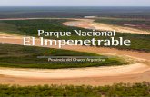 Parque Nacional El Impenetrable · 2.4 Tradiciones en Peligro 24 2.5 Los Pueblos Originarios 25 3 El Turismo: Una Oportunidad para la Reconversión Productiva 26 ... del Chaco, a