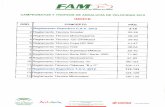 REGLAMENTO DEPORTIVO CAMPEONATOS DE ANDALUCIA … y Tc CAV y TAV... · reglamento deportivo campeonatos de andalucia de velocidad 2012 - 1 - reglamento deportivo campeonatos de andalucia