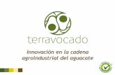 Innovación en la cadena agroindustrial del aguacate · •Desarrollo de mercado del aguacate hass y derivados en Colombia 2016 - 2018 ... agua, tomate, cilantro, sal, limón, cebolla,