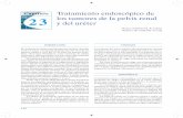 INtroDUCCIóN EtIoLoGÍAmedia.axon.es/pdf/75880_4.pdf · por vía retrógrada a través de cateterismo con barrido y ras-pado de la lesión o bajo visión directa con ureteroscopios