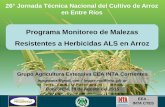Programa Monitoreo de Malezas Resistentes a Herbicidas ALS ...proarroz.com.ar/static/presentaciones/programa-monitoreo-malezas... · - Herbicidas y MA usados - Como se genera la resistencia