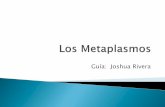 Guía: Joshua Rivera - jorpy.weebly.comjorpy.weebly.com/uploads/4/5/2/6/45262191/los_metaplasmos_joshua.pdf · Metaplasmos- Consiste en agregar, quitar o cambiar letras o silabas