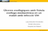 Úlceres esofàgiques amb fístula esòfago-mediastínica en un … · Malaltia de Johne o paratuberculosis • Causat pel . Micobacterium avium paratuberculosis. • Afecta animals.