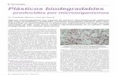 Plásticos biodegradables - uruguay-ciencia.comuruguay-ciencia.com/articulos/UC16/Plasticos_biodegradables_UC16.pdf · 22 - Uruguay Ciencia Nº16 - Enero 2013 Los plásticos son parte