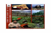 Vision de la Biodiversidad de los Andes del Norteawsassets.panda.org/downloads/vision_cean.pdf · Santiago de Cali, Colombia, 2001 ® WWF-US; LOS TEXTOS E IMÁGENES PUEDEN SER REPRODUCIDOS