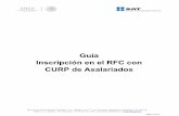 Guía Inscripción en el RFC con CURP de Asalariadosoma · Fernando García López Created Date: 1/25/2018 11:01:40 AM ...