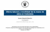 Oferta laboral y movilidad de la mano de obra en Colombia · Oferta laboral y movilidad de la mano de obra en Colombia Juan David Baron´ ... Dada la esporadica naturaleza de la informaci´
