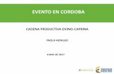 CADENA PRODUCTIVA OVINO-CAPRINA · con ovinos y caprinos Cooperación con organismos internacionales. FFA ...