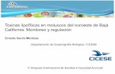 Toxinas lipofílicas en moluscos del noroeste de Baja ... lipofilicas en moluscos del... · acuicultura de moluscos bivalvos ... Production (mt) 0 1000 2000 3000 4000 5000 6000 7000