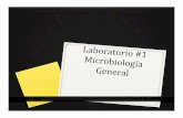 Lab 2 Macroscopia y Microscopiacursosdrarodriguez.weebly.com/.../lab_2__macroscopia_y_microscopia.pdf · 0 Espere que se enfrié la aguja y tome la bacteria a transferir 0 Transfiera
