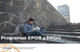 Programas EPOS y PPGG · TestDaF, onDaF Zertifikat Deutsch (ZD) Österreichisches Sprachdiplom Deutsch (ÖSD) Deutsche Sprachprüfung für den Hochschulzugang (DSH) 11