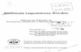 biosis Leguminosa-Rizobio - ciat-library.ciat.cgiar.orgciat-library.ciat.cgiar.org/Articulos_Ciat/Digital/SB203.S541... · B Metodo de la reducción de acetileno A-S C Cepas recomendadas