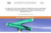 LA PROTECCIÓN DEL MEDIO AMBIENTE EN ACUERDOS …centrogilbertobosques.senado.gob.mx/docs/NI-AMAs_RTAs_031117.pdf · Environmental Protection in Regional Trade Agreements: the relationship