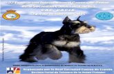 32 li:XPOSICJON INTERNACIONAL CANINA DE OTOÑO DE LA … · 32 exposicion internacional canina de otoÑo de la r.s.c.e. 32 exposiciÓn internacional canina de otoÑo de la real sociedad
