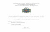 UNIVERSIDAD NACIONAL AUTÓNOMA DE NICARAGUA FACULTAD DE ...repositorio.unan.edu.ni/4341/1/96870.pdf · diagnosticadas con riesgo de pérdida de bienestar fetal en ... es decir el