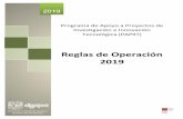 Reglas de Operación 2019 - dgapa.unam.mxdgapa.unam.mx/images/papiit/2019_papiit_reglas_operacion.pdf · 212 Pasajes Aéreos ... La página legal de la publicación deberá especificar