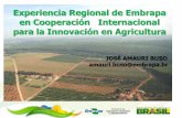 Experiencia Regional de Embrapa en Cooperación ... · Panamá- 5 PCTs – Huertos, Genetica Bovina, Soya e Zanahoria, Sanidad Vegetal e Animal. • CARICOM- Ais- Capacitación em
