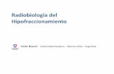 Radiobiología del Hipofraccionamiento Radiobiología del Hipofraccionamiento Victor Bourel - Universidad Favaloro – Buenos Aires - Argentina