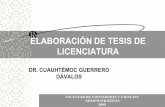 ELABORACIÓN DE TESIS DE LICENCIATURA - fcca.umich.mx de Investigacion/CURSO... · Planes de negocios Evaluación del Plan de Negocios 1995-2000 de PEMEX Gas y Petroquímica básica.