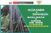 HUAMBÉrepositorio.iiap.org.pe/bitstream/IIAP/287/1/Martin_libro_2016.pdf · La Amazonía es la región natural con mayor biodiversidad del planeta. Los investigadores creen que un