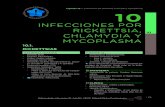 09 - Infeccioso imprentamedia.axon.es/pdf/93222.pdf · tis Granulomatosa. • Necrosis eosinofílica sinusoidal. CLíNICA > Inicio con fiebre, cefalea y artromialgias. > Neumonía