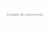 Ayudantía Ecología de ecosistemasbio143m.bio.puc.cl/AYU_4.pdf · Ayudantía Ecología de ecosistemas.pptx Author: kongo Created Date: 9/28/2014 2:35:36 PM ...