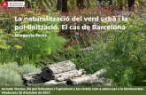 La naturalització del verd urbà i la pol·linització. El …xarxaenxarxa.diba.cat/sites/xarxaenxarxa.diba.cat/files/...Eradicació del glifosat i altres herbicides en el manteniment
