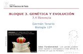 BLOQUE 3. GENÉTICA Y EVOLUCIÓN 3.4 Herencia · Cromosomas homólogos Genotipo Homocigótico Fenotipo Heterocigótico Herencia dominante. Tipos de herencia Por tanto, ...