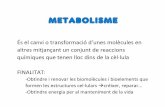 METABOLISME · 2018-11-08 · Metabolisme •CATABOLISME reaccions que transformen molècules orgàniques complexes en altres més senzilles, alliberant energia •ANABOLISME reaccions