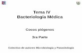Tema IV Bacteriología Médicauvsfajardo.sld.cu/sites/uvsfajardo.sld.cu/files/ii_cocos_piogenos... · neonatorum. Secreciones procedentes del sitio de la infección N. gonorrhoeae.