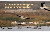 L’ornitologia pren volada - lleidatur.com · L’altre “rè cord absolut” que té la demarcació de Lleida, segons Araú jo, é s que “concentra el major nombre de llacs naturals”