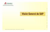 Visión General SAP - ri.pemex.com · SAP es un “software”, es decir, un sistema desarrollado por la compañía SAP AG y comercializado en México por la compañía SAP México