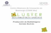 Centro Mexicano de Innovación en Bioenergía (CEMIE-Bio) · Centro Mexicano de Innovación en Bioenergía (CEMIE-Bio) Producción de Biohidrógeno Germán Buitrón
