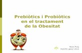 Prebiòtics i Probiòtics en el tractament de la Obesitat · METABOLISME SREBP-1c (Sterol response element binding protein 1c) i ChREBP (carbohydrate response element binding protein):