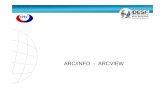 ARC/INFO - ARCVIEW - santafe.gob.ar · desarrollar aplicaciones SIG para procesar información gráfica (ARC) e información descriptiva (INFO), totalmente integrada en un único