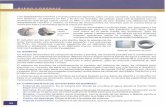 Reductor de PVC. - bdigital.zamorano.edubdigital.zamorano.edu/bitstream/11036/1338/3/03.pdf · Para la selección del equipo de bombeo se utilizan lo que se conoce como curva de la