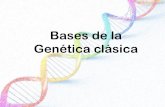 Bases de la Genética clásica°Medio/Biología/ppt Genetica (mono y di... · Gregor Mendel (Johann Gregor o Gregorio Mendel; Heizendorf, hoy Hyncice, actual República Checa, 1822