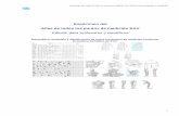 Espécimen del 'Atlas de todos los puntos de medición EAV ...cientificos.pdf · Sistema periódico interactivo de EAV 9 82 Ilustración del esquema anatómico de Kramer para los
