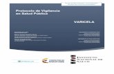 Protocolo de Vigilancia en Salud Pública VARICELA Varicela.pdf · vigilancia y analisis del riesgo en salud pÚblica protocolo de vigilancia en salud publica varicela pro-r02.015